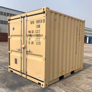 Conteneur maritime New-One Trip de 10 pieds neuf